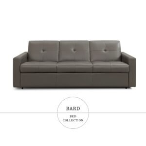 Canapea extensibila BARD